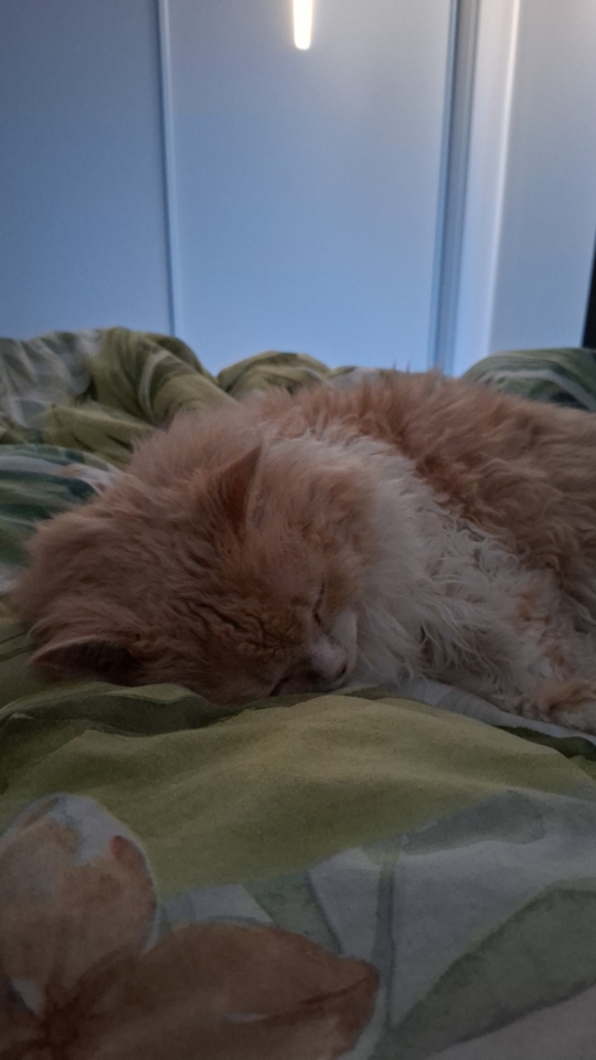 Ted sleeping