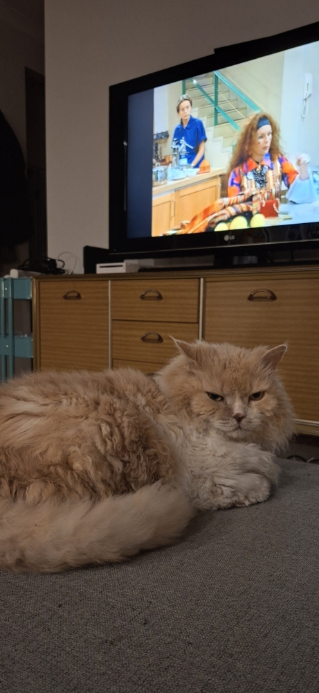 Ted ignoring Ab Fab on the TV