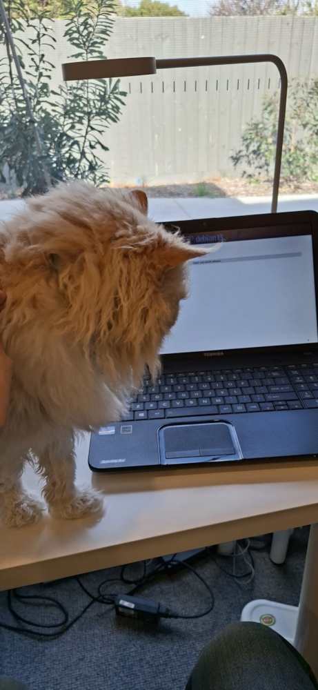 Ted checking a Linux install