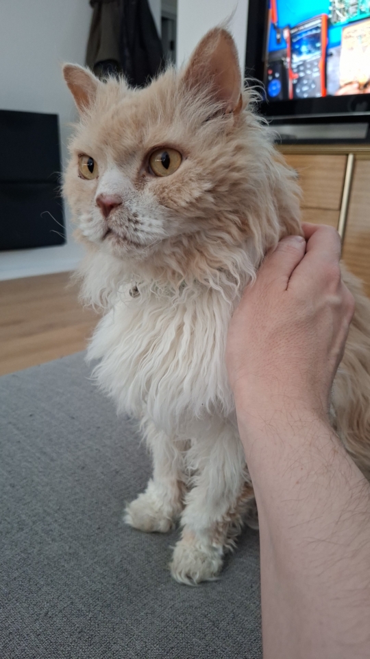 Ted gets pats during TV time