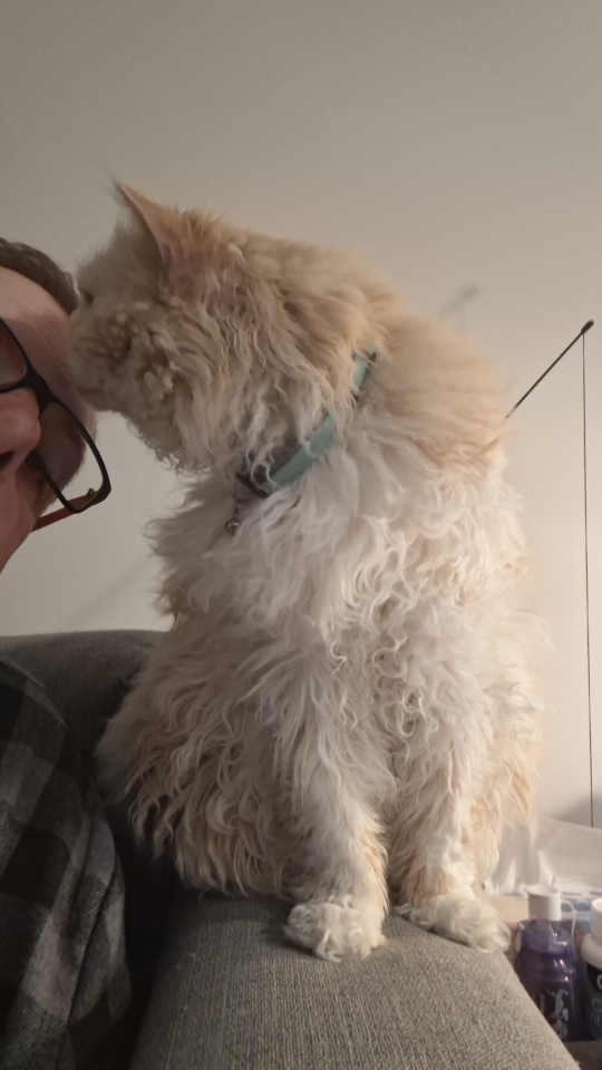 Ted sniffing my head