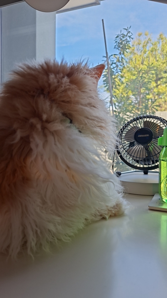 Ted looking out of the office window