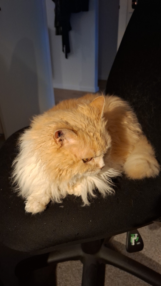 Ted sitting on his office chair