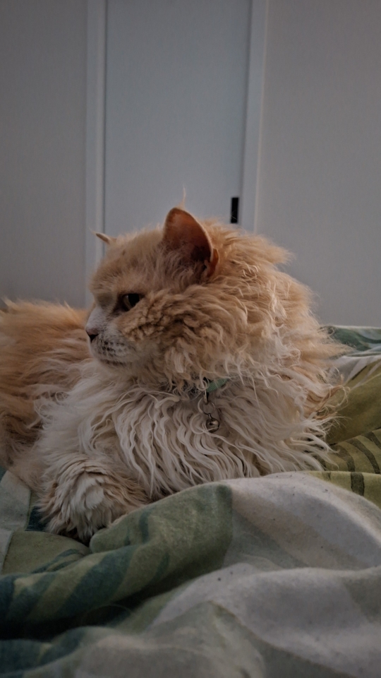 Ted sitting on the bed